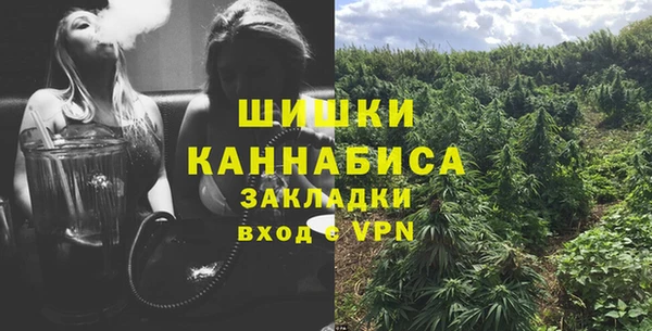 соль ск Заводоуковск